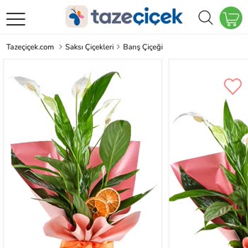 Geç Gelen Sipariş Ve Hayal Kırıklığı Yaratan Çiçek