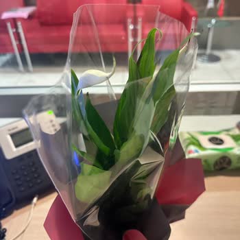 Geç Gelen Sipariş Ve Hayal Kırıklığı Yaratan Çiçek