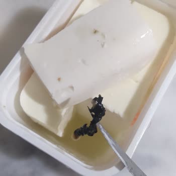 Bahçıvan Peynirde Şok Edici Renk Değişimi!