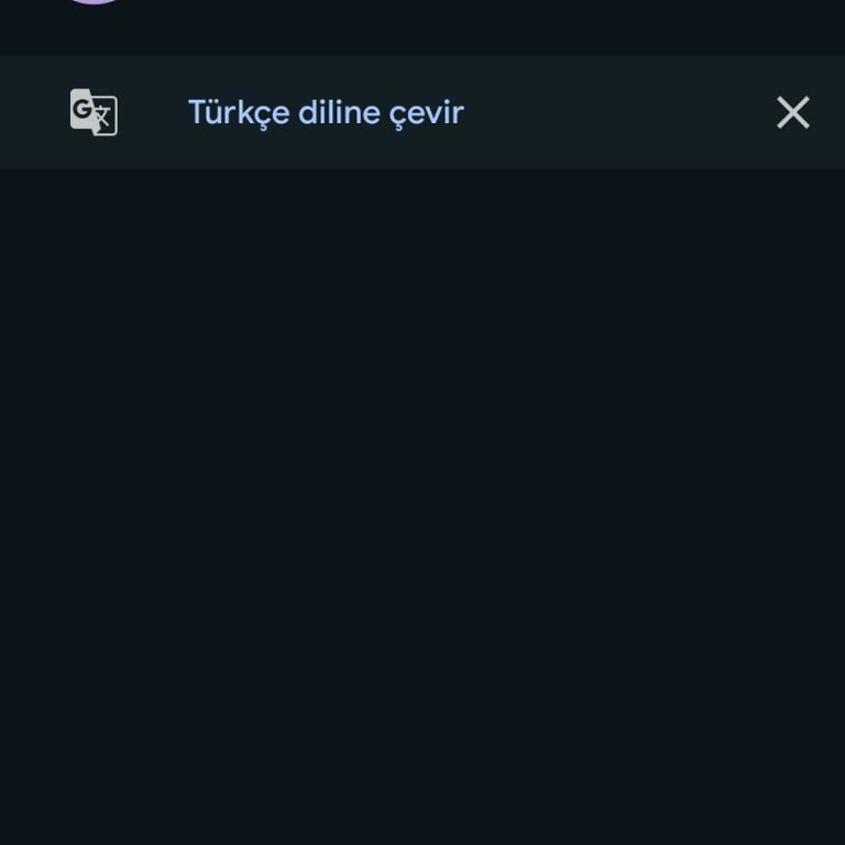 Tebilon'un İade Sürecindeki Hayal Kırıklığı
