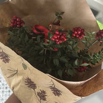 Afrodit Bear Yılbaşı İçin Sipariş Verilen Kokina Çiçeği Tam Bir Hayal Kırıklığı!