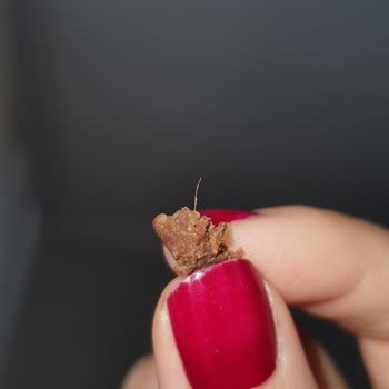 Fitnut Gıda Protein Bar'da Hijyen Sorunu!