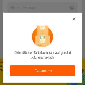 Kayıp Kedi Maması: Siparişim Nerede?