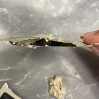 Bozuk Kil Maskesi Hayal Kırıklığı