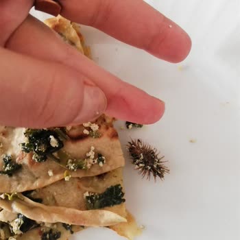 Dışarıdan Yemek Siparişi Güvenli Mi