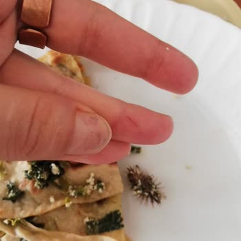 Dışarıdan Yemek Siparişi Güvenli Mi