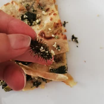 Dışarıdan Yemek Siparişi Güvenli Mi