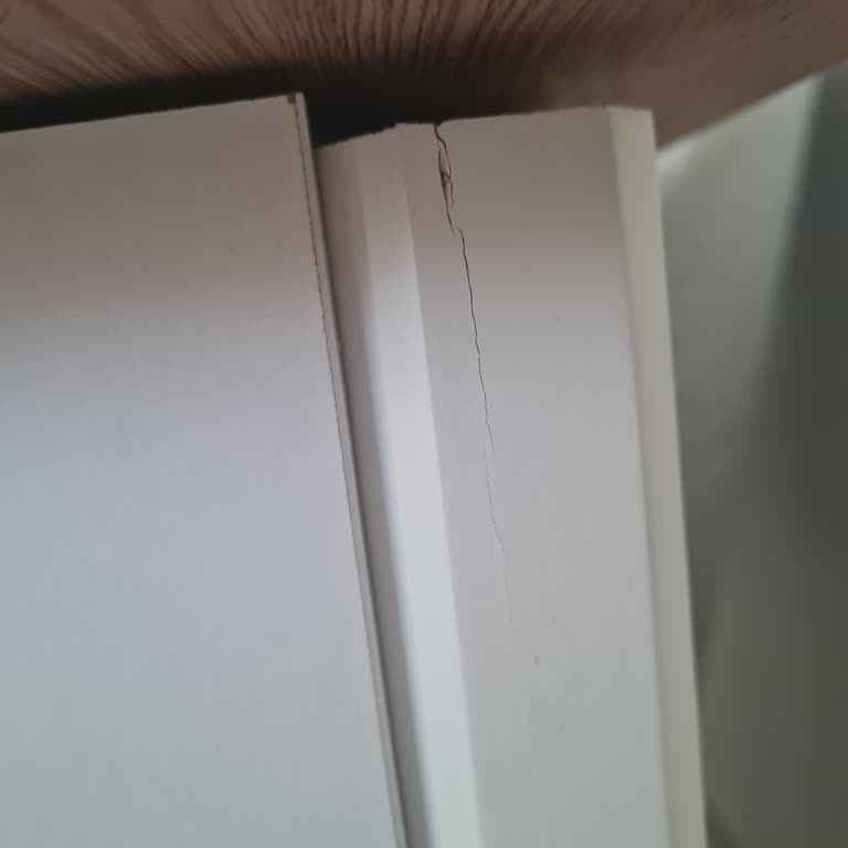 Salon Takımının Kalitesizliği Ve Yetersiz Destek