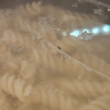 A101 Bendo Burgu Makarnadan Çıkanlar