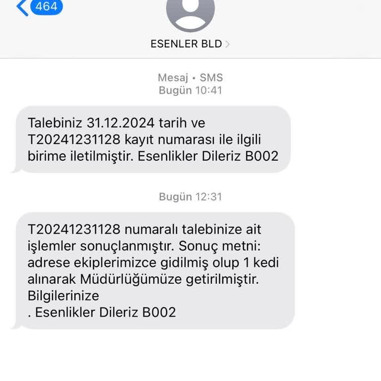 Esenler Belediyesi'nin Vicdansız Kedi Politikası