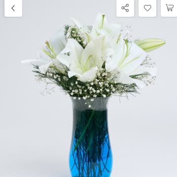 Çiçek Sepeti'nde Hayal Kırıklığı: Yanlış Çiçek Gönderimi