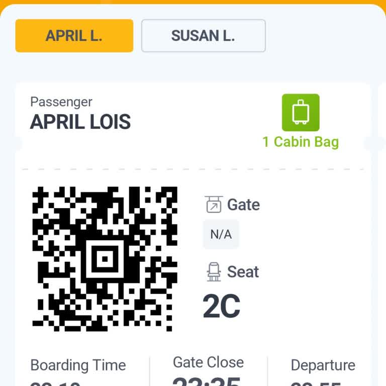 Pegasus Airlines Delayed My Flight and Made Me Miss My Connection