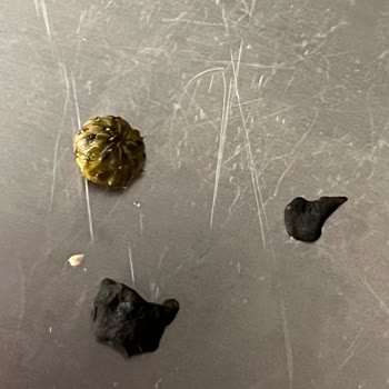Garnitür İçinden Çıkan Plastik Parça Şoku