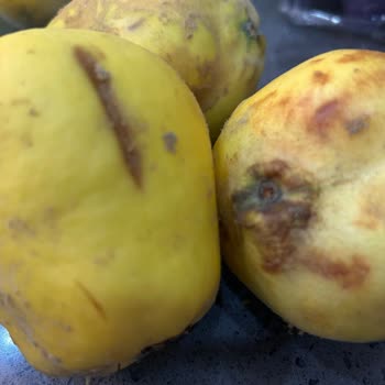 Migros Sanal Market Siparişlerinde Sürekli Sorunlar Ve Mağduriyet