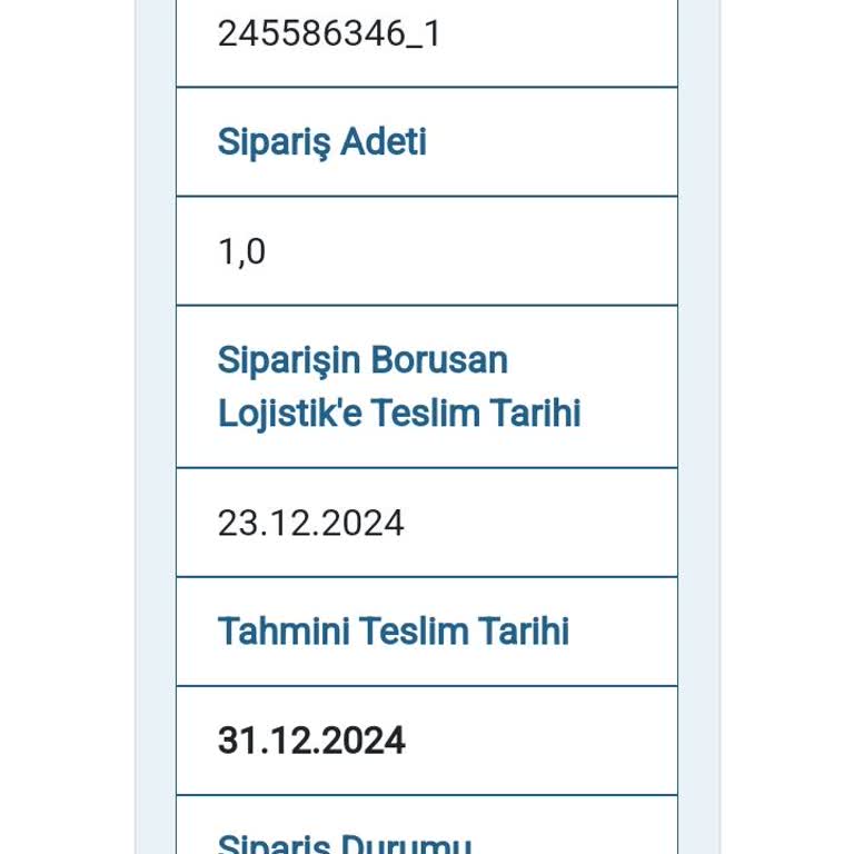 Borusan Lojistik Yanlış Adres ve İletişim Sorunlarıyla Dolanan Sipariş