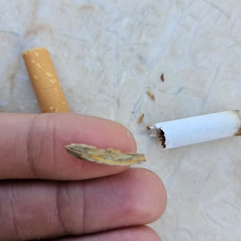 Marlboro Red Sigara Paketinden Tahta Parçası Çıktı