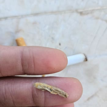 Marlboro Red Sigara Paketinden Tahta Parçası Çıktı