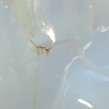 Chery Bayisi İle Sorunlu Garanti Süreci