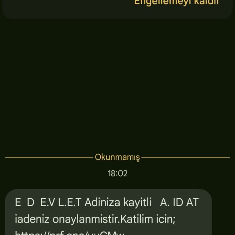 E-Devlet Adına Gelen Şüpheli Mesajlar