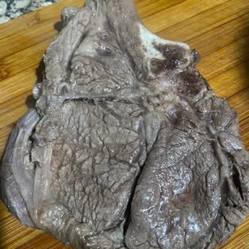 Beşler Bozuk Et Kokusu Misafirlerimin Gününü Mahvetti