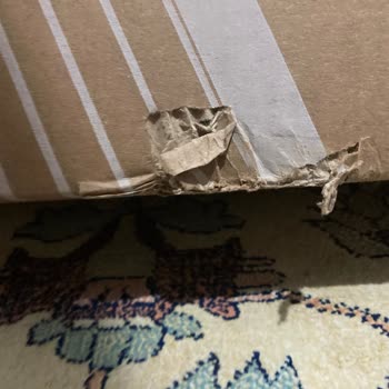 Media Markt'ta Yanıltıcı Bilgi Ve Kusurlu Ürün Deneyimi