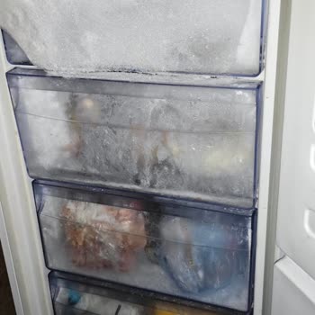 Samsung Derin Dondurucu: İlgisizlik Ve Buzlanma Sorunu