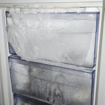 Samsung Derin Dondurucu: İlgisizlik Ve Buzlanma Sorunu