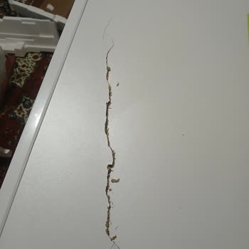 Trendyol'dan Aldığım Bulaşık Makinesi Kırık Çıktı, İade Süreci Mağdur Ediyor!