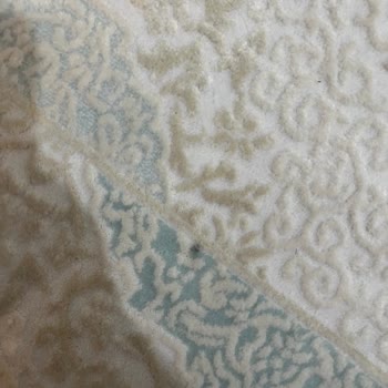 Armağan Halı Yıkama | Esenkent Halı Yıkama Hizmetinde Memnuniyetsizlik