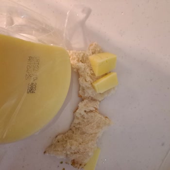 Saçlı Peynir Ve İade Sorunu