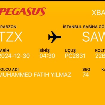 Son Dakika Uçuş İptali Ve Ek Maliyetler