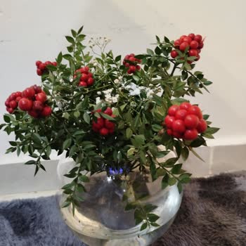 Yanlış Çiçek Teslimatı Ve İlgisiz Satıcı