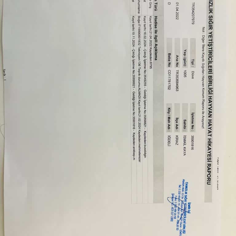 Sigorta Ödeme Sorunu Ve Yanlış Doğum Tarihi