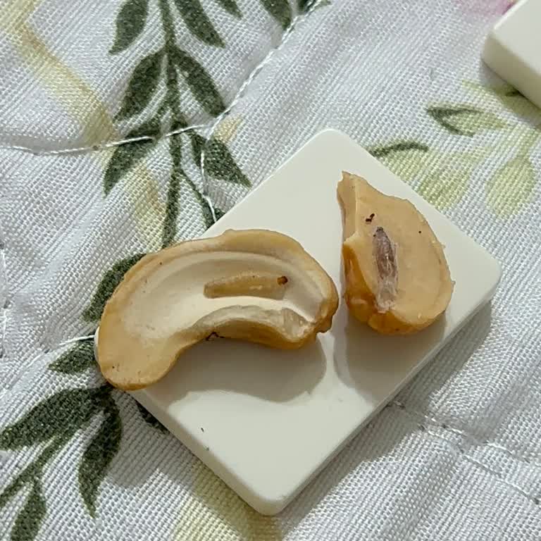 Bayat Ve Kurtlu Kuruyemiş Şoku