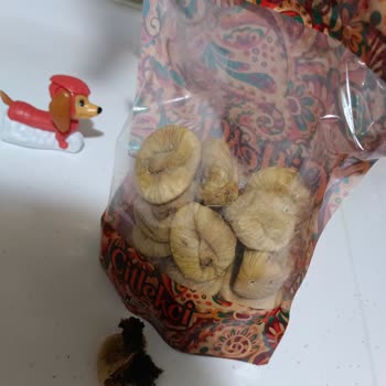 Kalitesiz Ürün Ve Hayal Kırıklığı