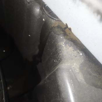 Megane Joy'un Su Sızdırma Sorunu Şaşırtıyor