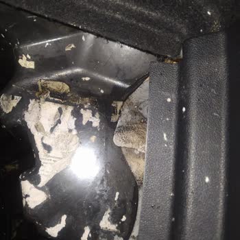 Megane Joy'un Su Sızdırma Sorunu Şaşırtıyor