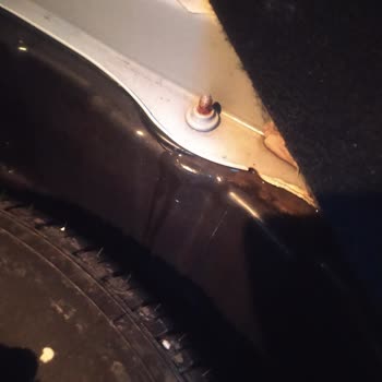 Megane Joy'un Su Sızdırma Sorunu Şaşırtıyor