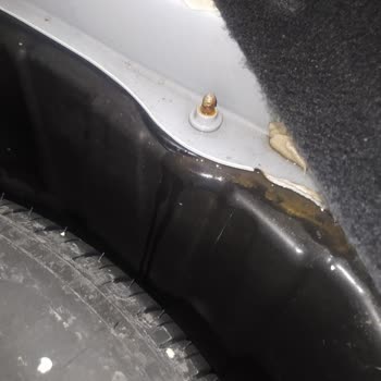 Megane Joy'un Su Sızdırma Sorunu Şaşırtıyor