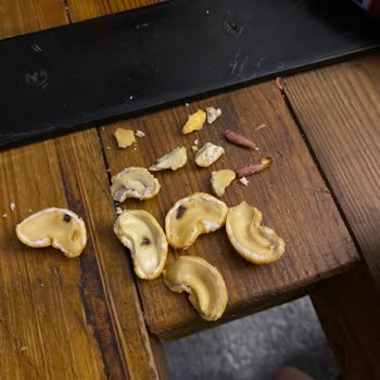 Çürük Kaju Skandalı: Param Çöpe Gitti