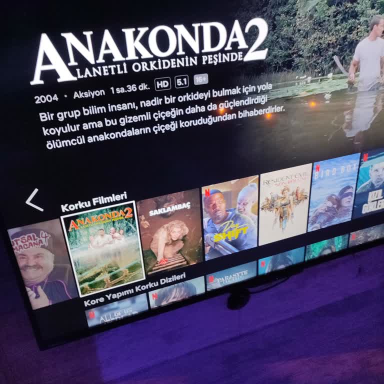 Netflix'te Eski Filmlerle Hayal Kırıklığı