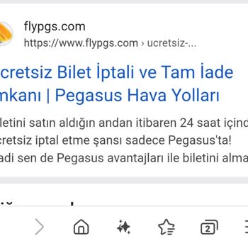 Pegasus İptal Politikası Hayal Kırıklığı