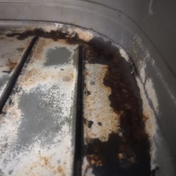 Philips Ev Aletleri Philips XXL Airfryer: Güvenilir Markanın Hayal Kırıklığı