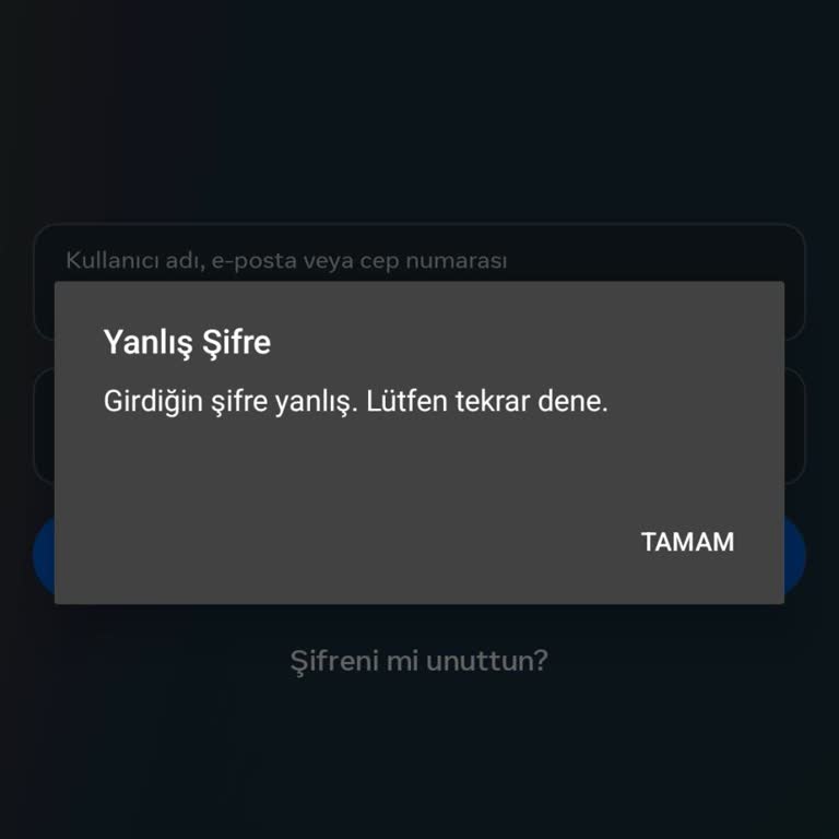 Instagram Hesap Kapanma Ve Askıya Alma Sorunu!