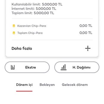 Ödenen Borca Rağmen Kredi Kartı Hala Kapalı