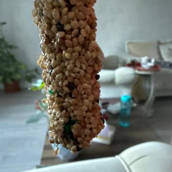 Zehirli Muhabbet Kuşu Krakeri: Pet Bee's Ve Carrefour SA'ya Tepki!