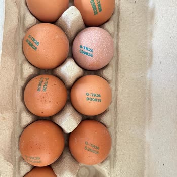 Eksik Ve Bozuk Yumurtalar: Harras Markasında Hayal Kırıklığı