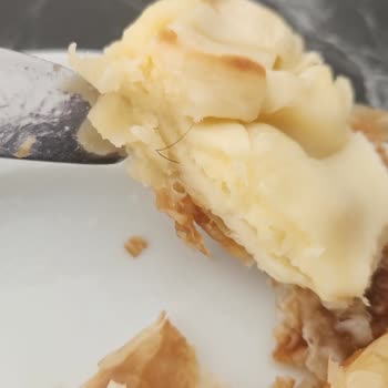 Börekten Çıkan İstenmeyen Sürpriz