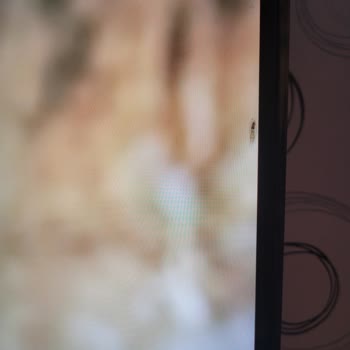 LG TV'nin Havalandırma Sorunu Ve Yetersiz Servis Desteği