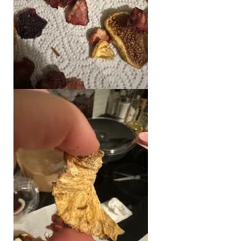 Kurtlanmış Kuru Meyve Ve İlgisiz Müşteri Hizmetleri